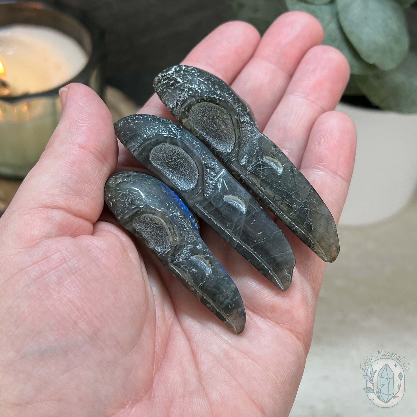 Blue Flash Labradorite Raven Skull Carvings