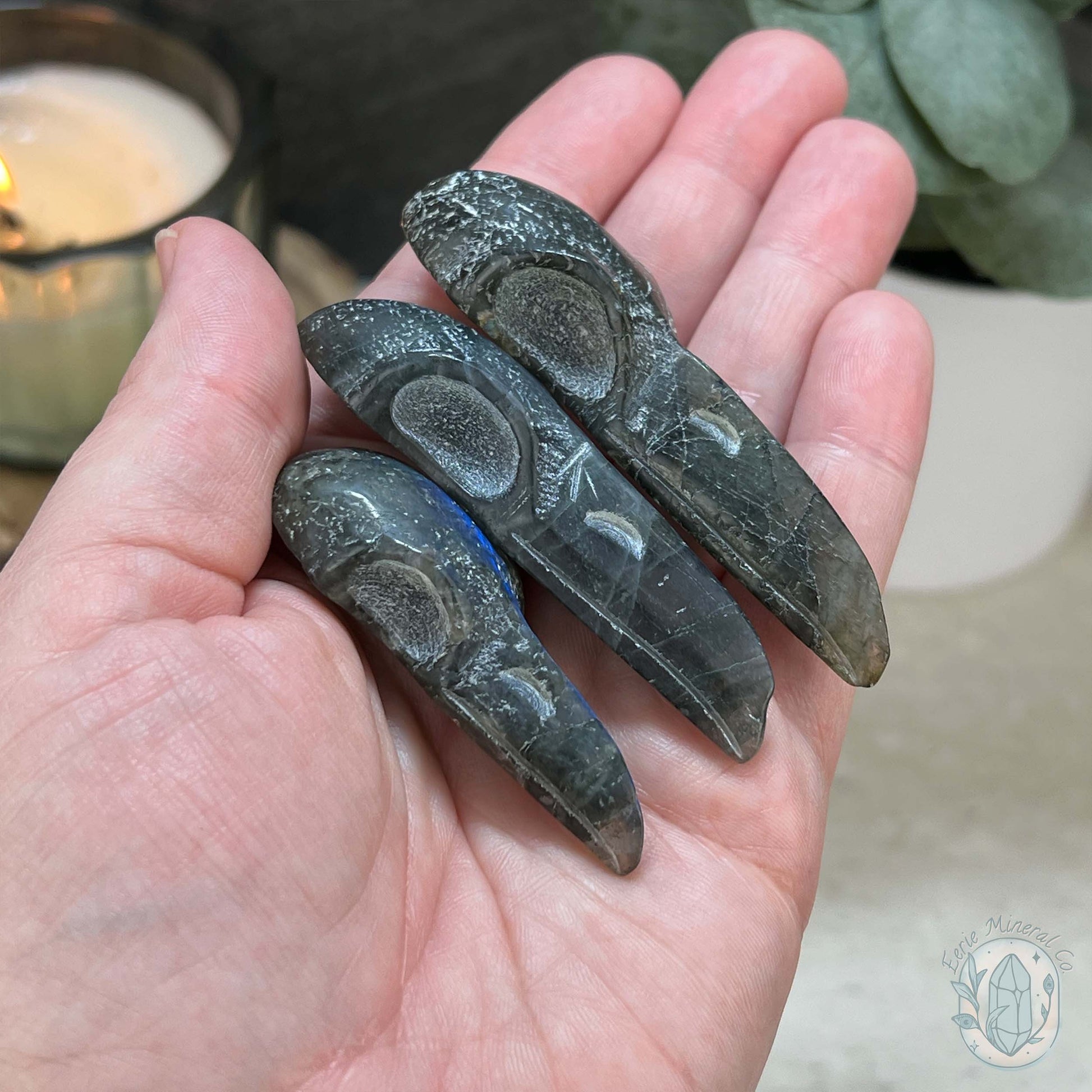 Blue Flash Labradorite Raven Skull Carvings