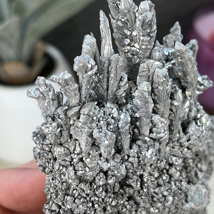 Raw Magnesium Mineral Specimen - Hard to Find Crystals For Sale – Eerie ...