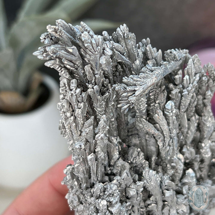 Natural Raw Silver Magnesium Display Specimen