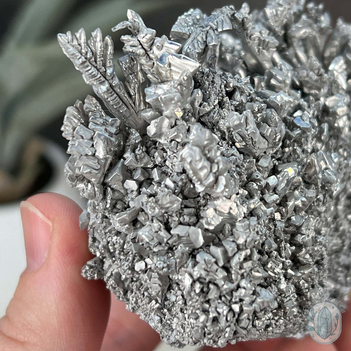 Natural Raw Silver Magnesium Mineral Specimen