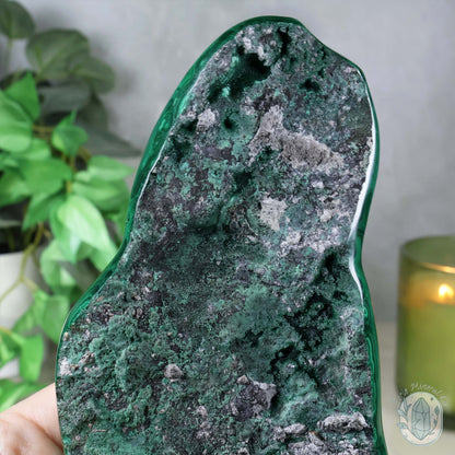 Polished Natural Malachite Freeform