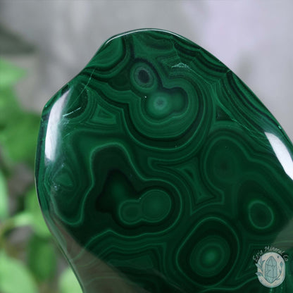 Polished Natural Malachite Freeform