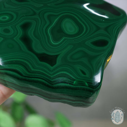 Polished Natural Malachite Freeform