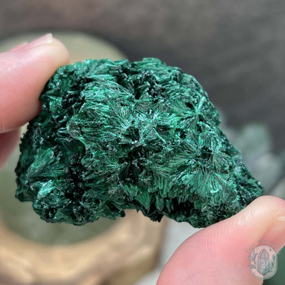 Raw Fibrous Silk Malachite Specimen