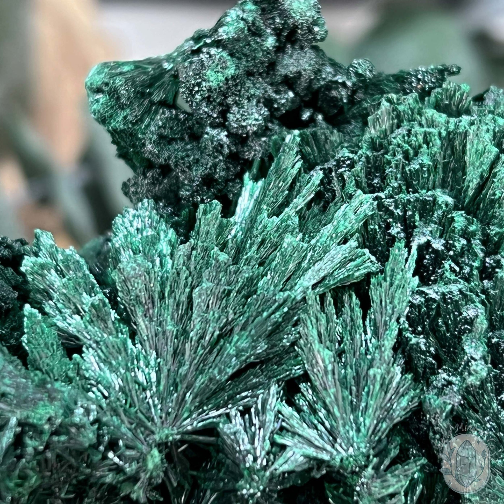 Natural Fibrous Silky Malachite Specimen From the Congo