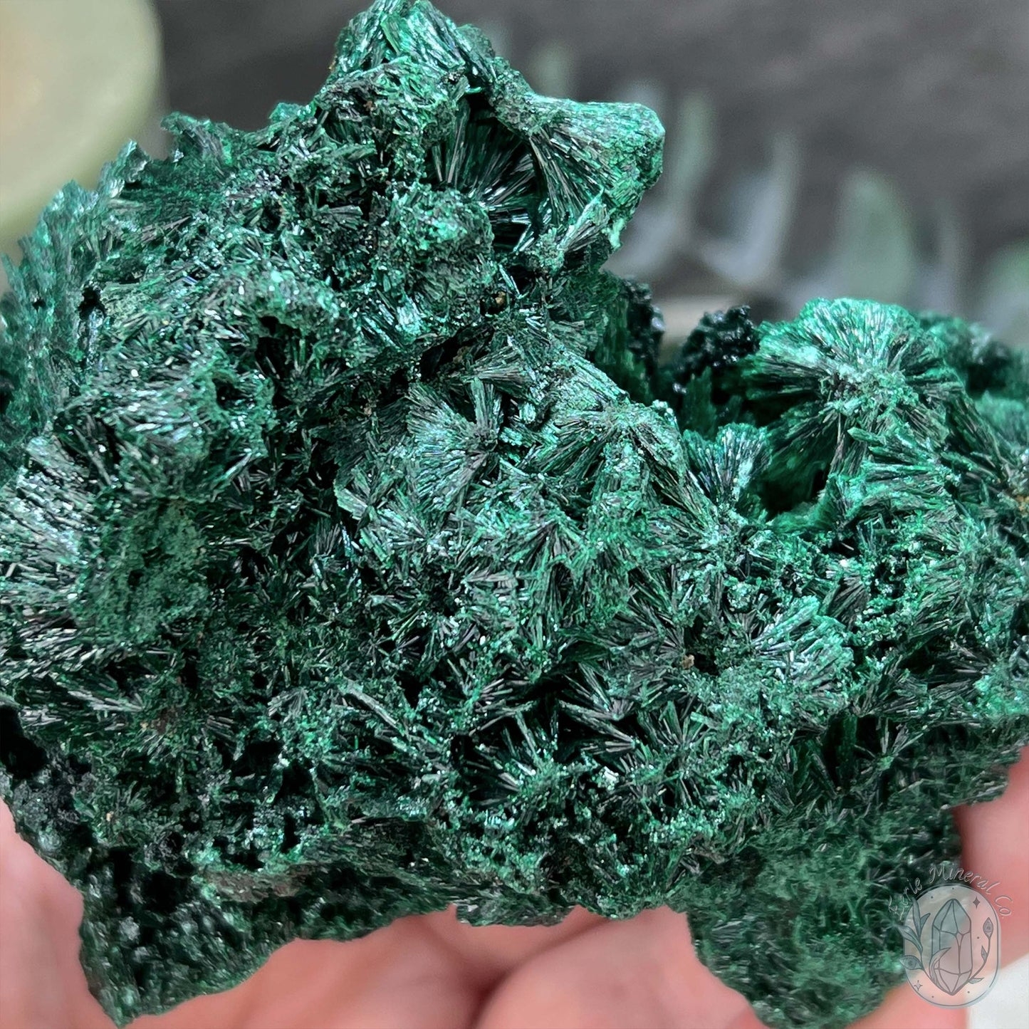 Natural Fibrous Silky Malachite Specimen From the Congo