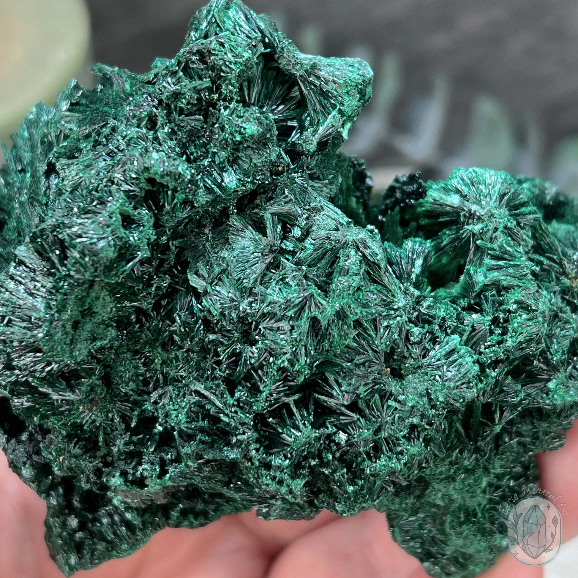 Natural Fibrous Silky Malachite Specimen From the Congo