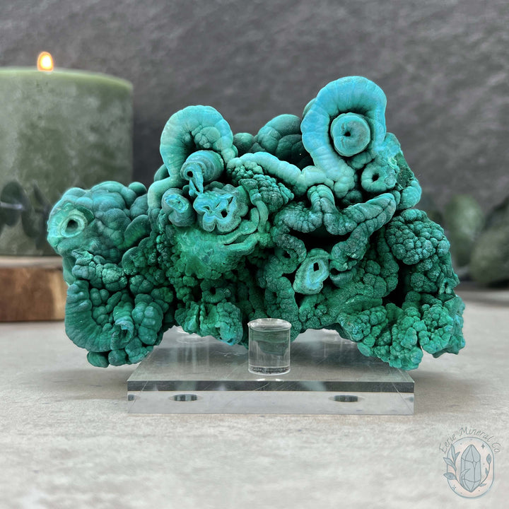 Raw Velvet Malachite Specimen with Display Stand