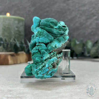 Raw Velvet Malachite Specimen with Display Stand