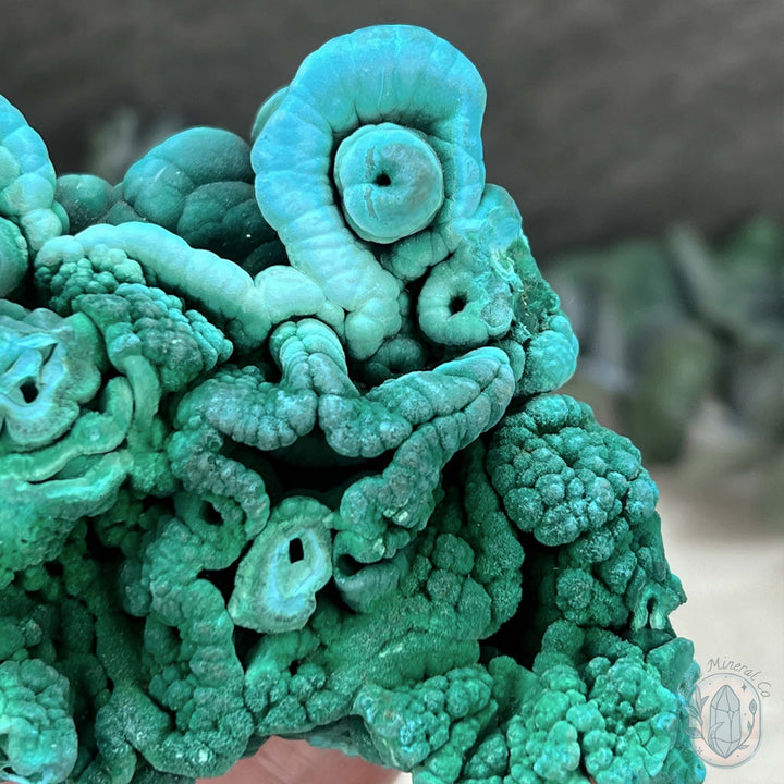 Raw Velvet Malachite Specimen with Display Stand