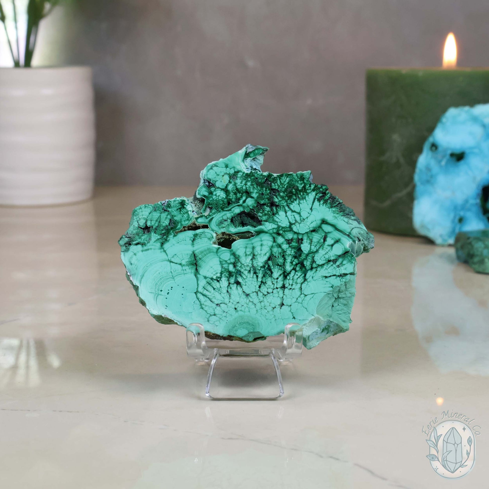 Polished Raw Malachite with Chrysocolla Slab with Display Stand