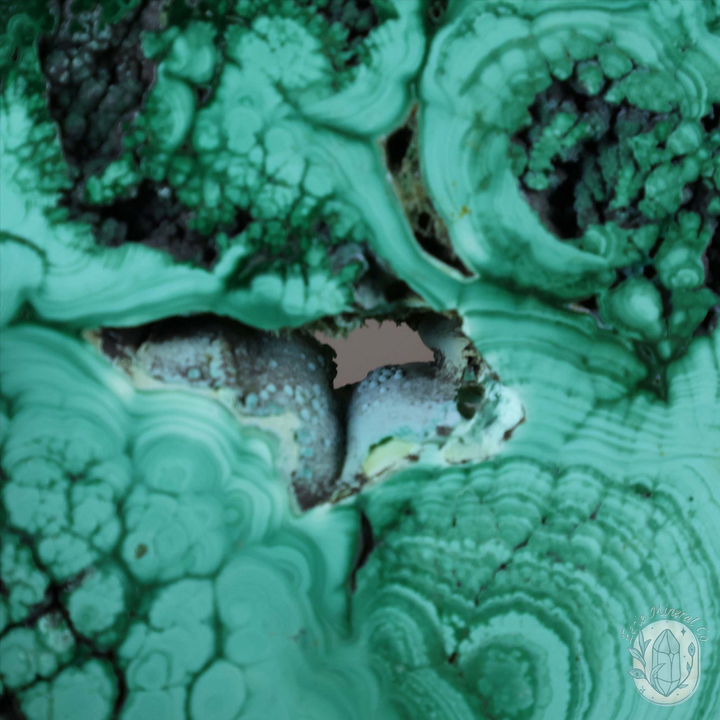 Polished Raw Malachite with Chrysocolla Slab with Display Stand