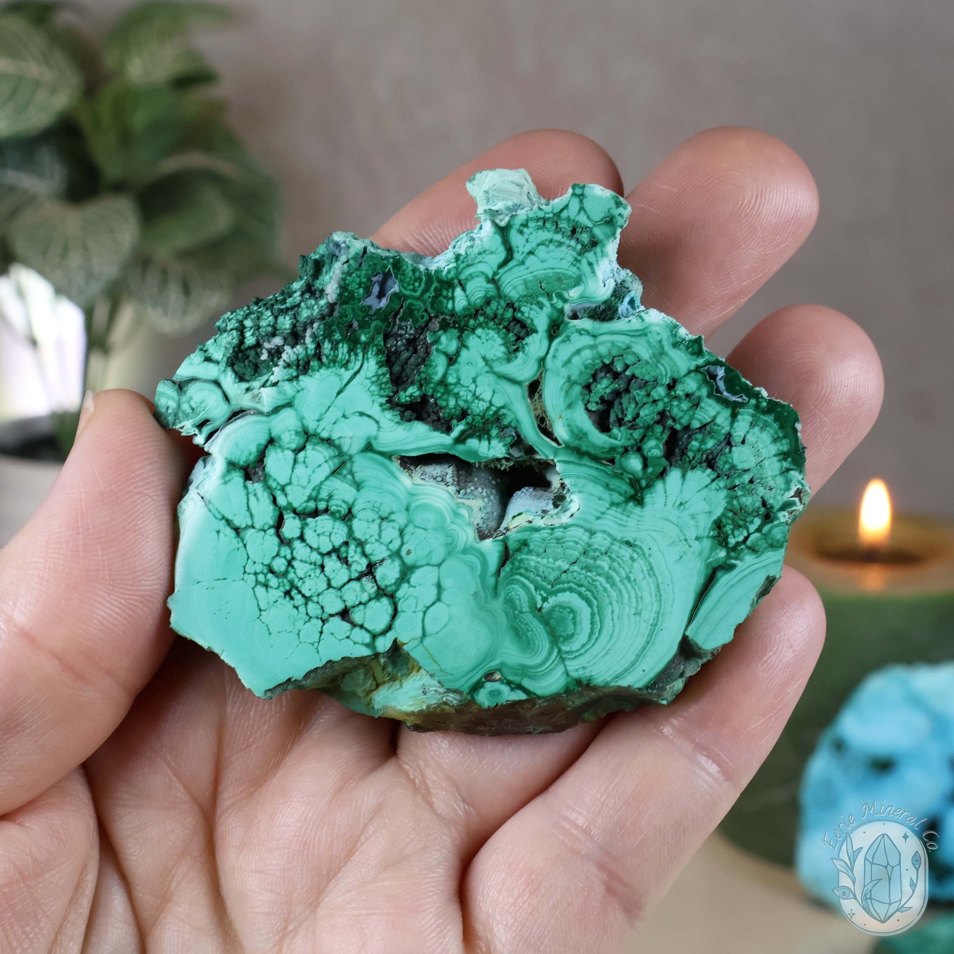 Polished Raw Malachite with Chrysocolla Slab with Display Stand