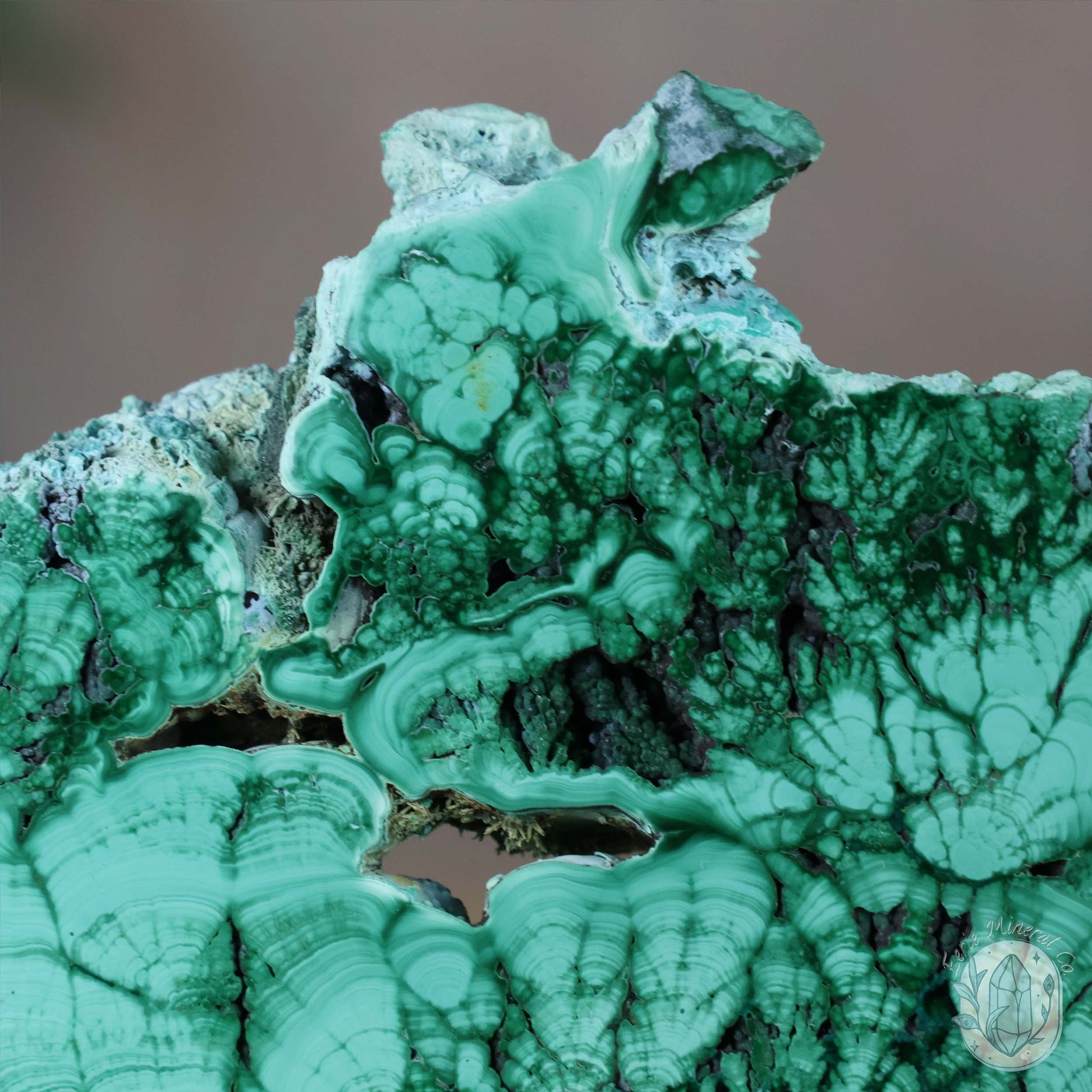 Polished Raw Malachite with Chrysocolla Slab with Display Stand