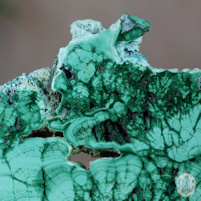 Polished Raw Malachite with Chrysocolla Slab with Display Stand