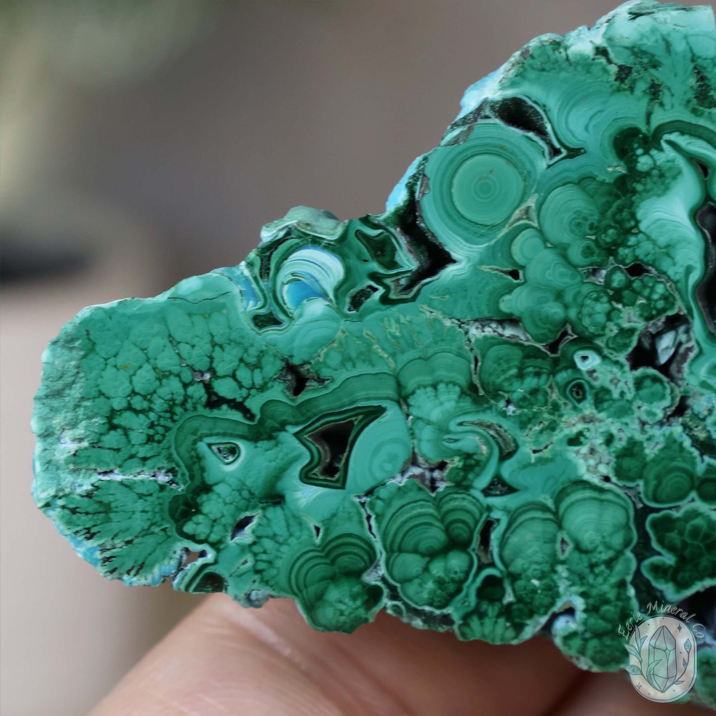 Polished Chrysocolla and Malachite Slab with Stand