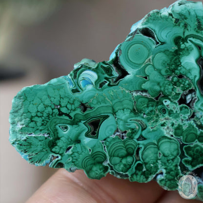 Polished Chrysocolla and Malachite Slab with Stand