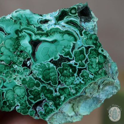 Polished Chrysocolla and Malachite Slab with Stand