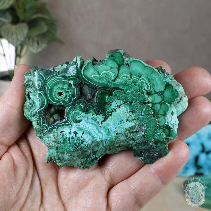 Polished Chrysocolla and Malachite Slab with Stand