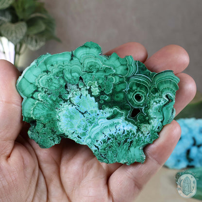Polished Chrysocolla and Malachite Slab with Stand