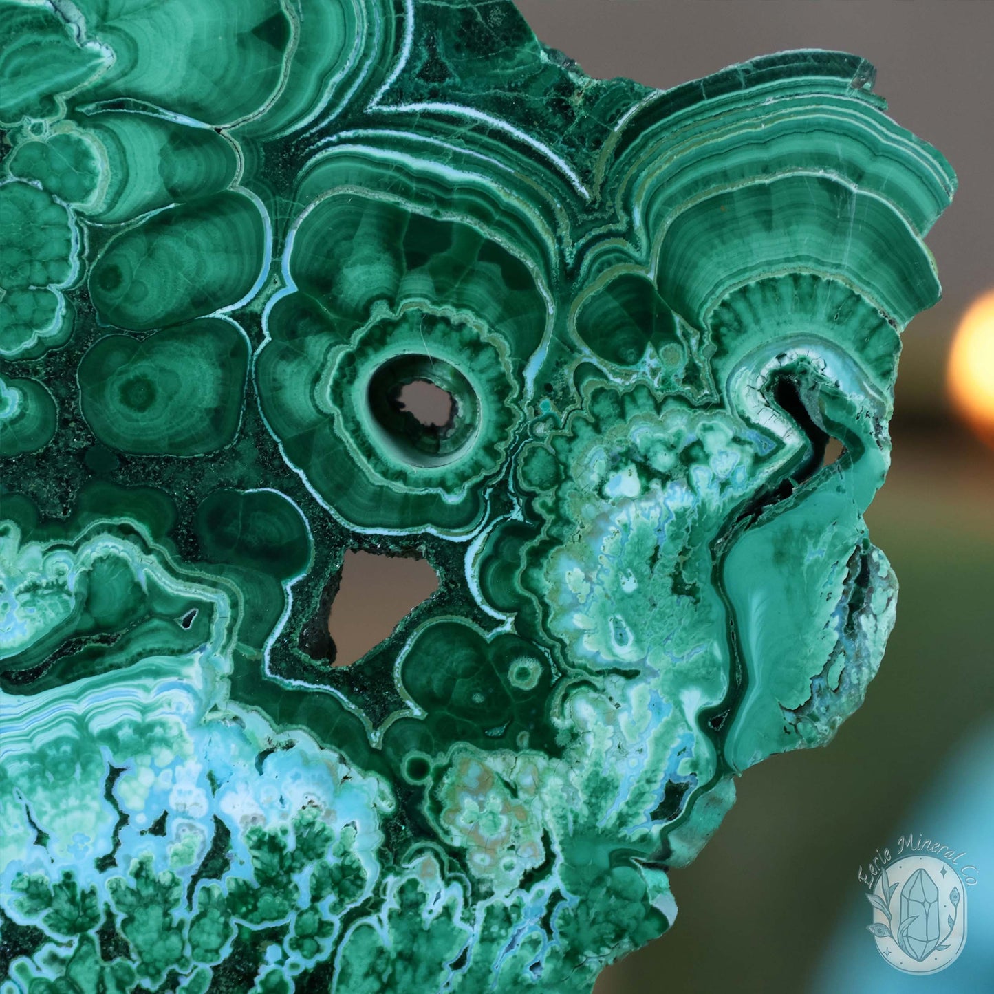 Polished Chrysocolla and Malachite Slab with Stand
