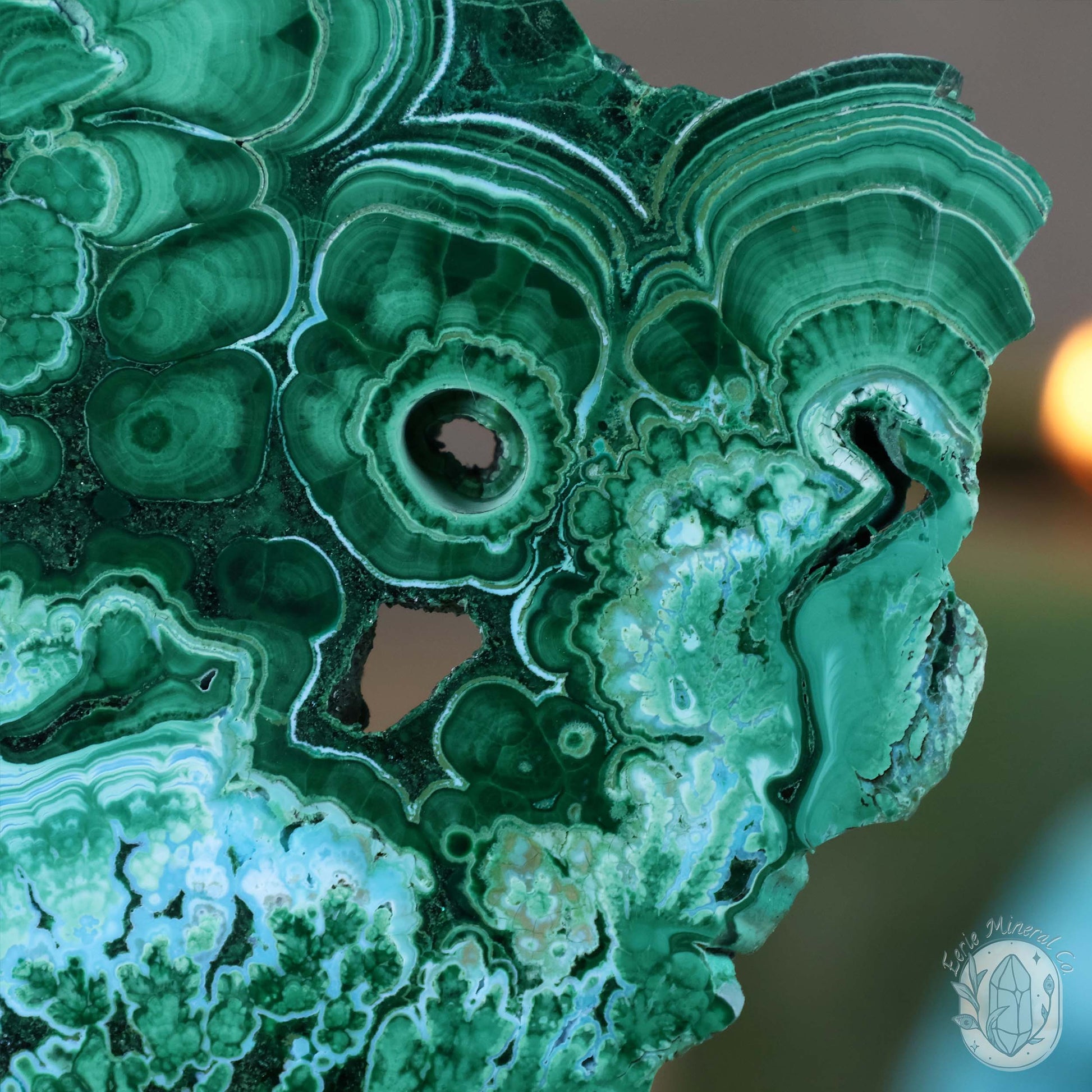 Polished Chrysocolla and Malachite Slab with Stand