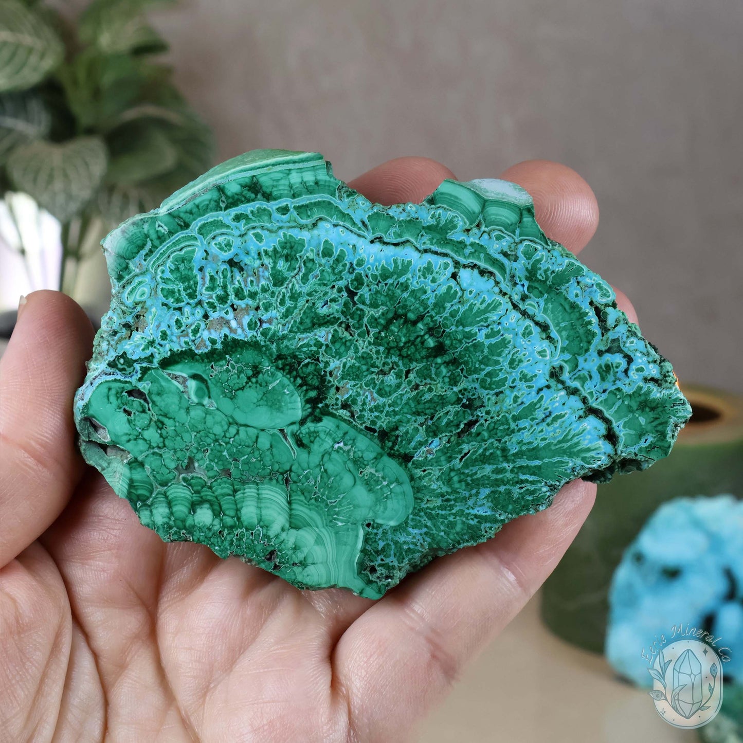 Polished Chrysocolla and Malachite Slab with Stand
