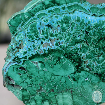 Polished Chrysocolla and Malachite Slab with Stand