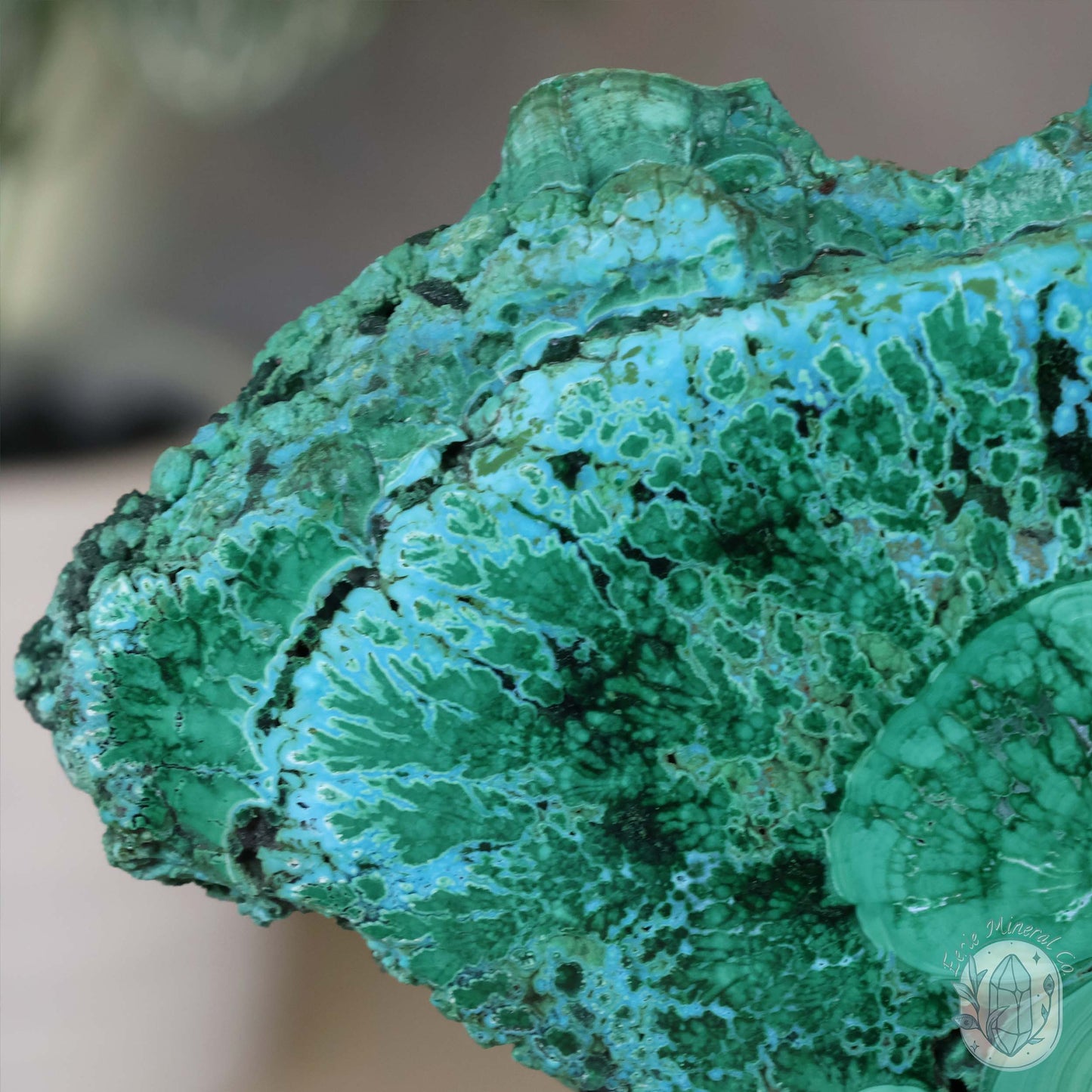 Polished Chrysocolla and Malachite Slab with Stand