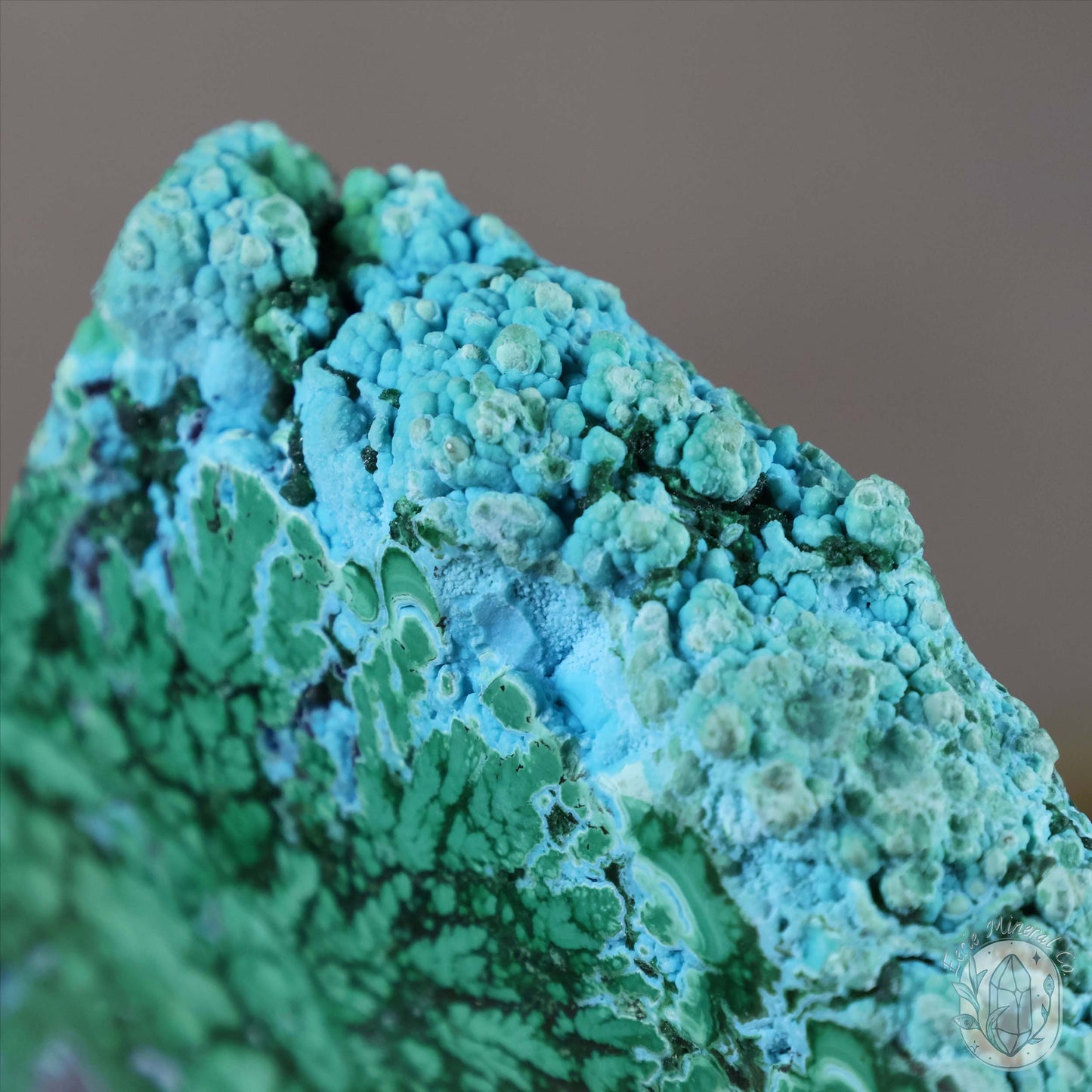 Polished Chrysocolla and Malachite Slab with Stand