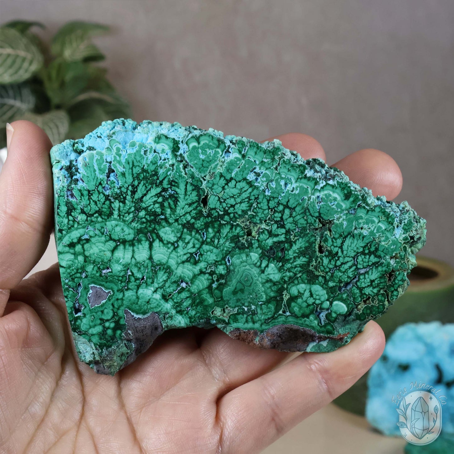 Polished Chrysocolla and Malachite Slab with Stand
