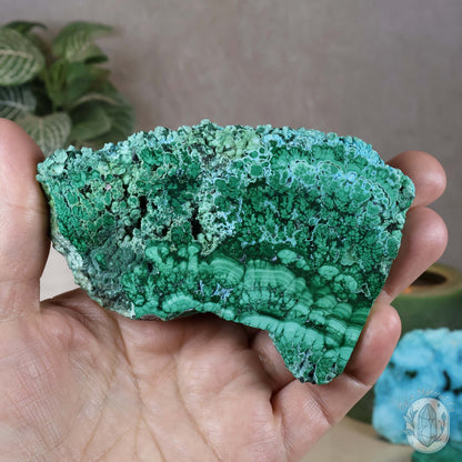 Polished Chrysocolla and Malachite Slab with Stand