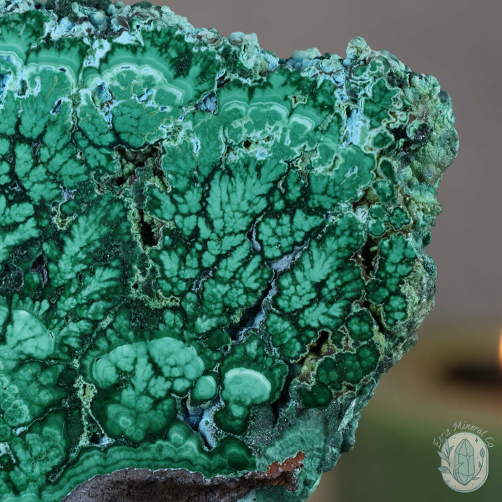 Polished Chrysocolla and Malachite Slab with Stand