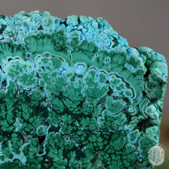 Polished Chrysocolla and Malachite Slab with Stand