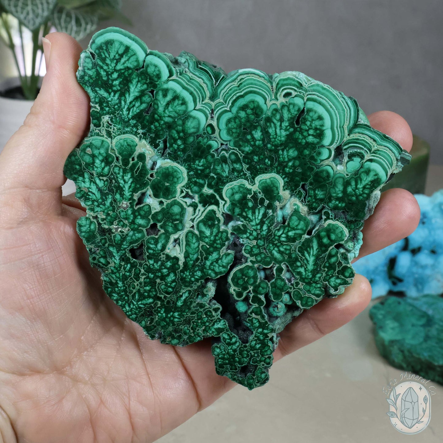 Polished Chrysocolla and Malachite Slab with Stand
