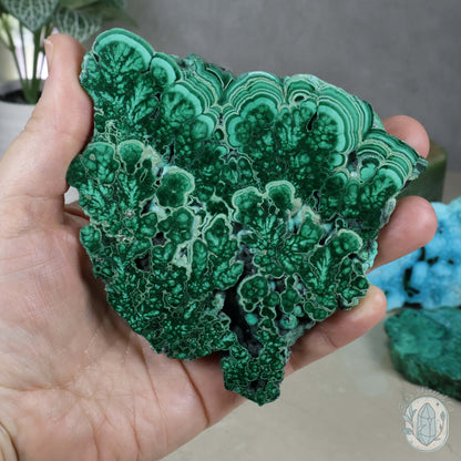 Polished Chrysocolla and Malachite Slab with Stand