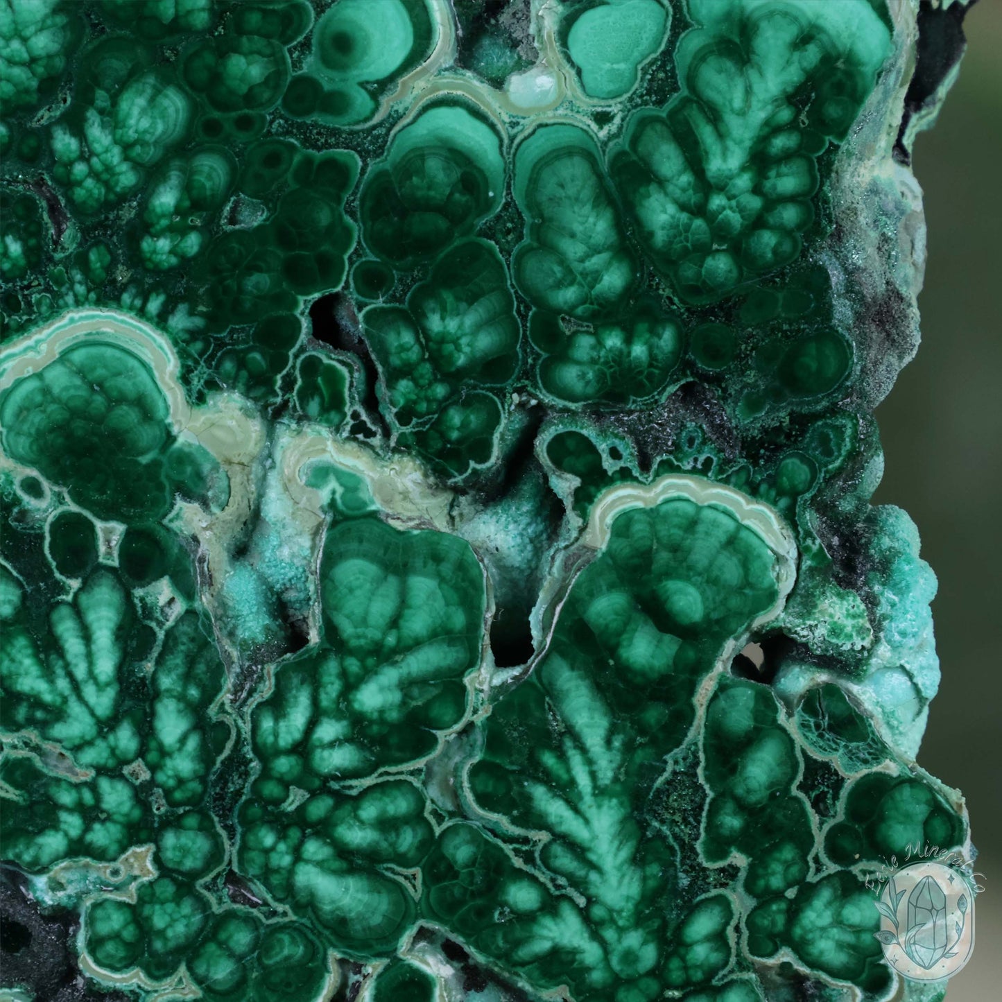 Polished Chrysocolla and Malachite Slab with Stand