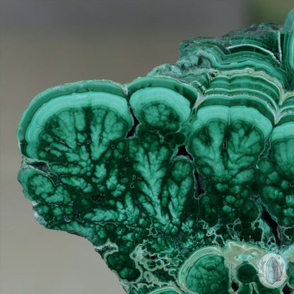 Polished Chrysocolla and Malachite Slab with Stand
