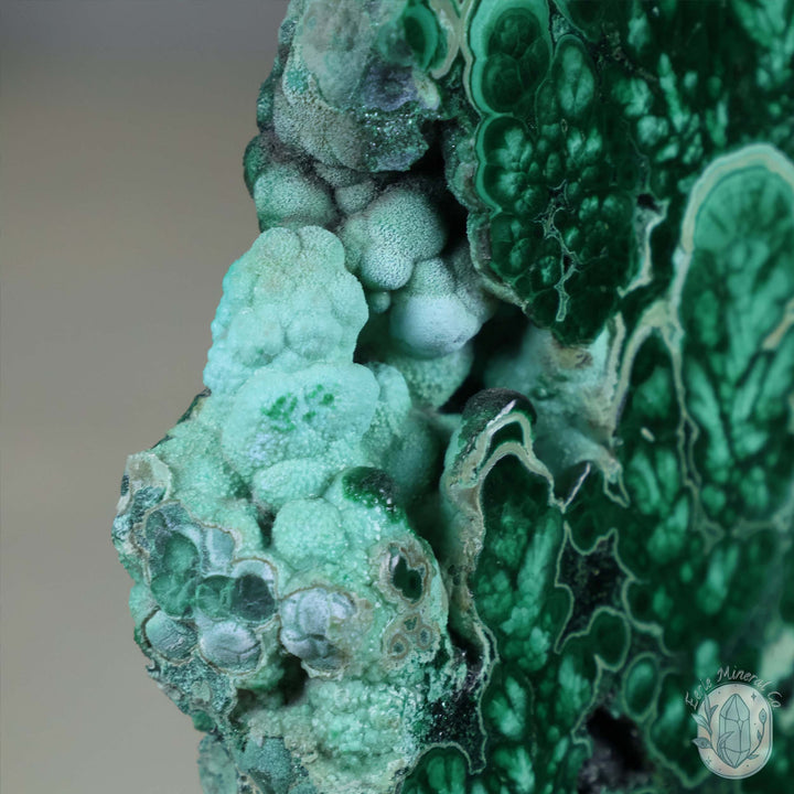 Polished Chrysocolla and Malachite Slab with Stand