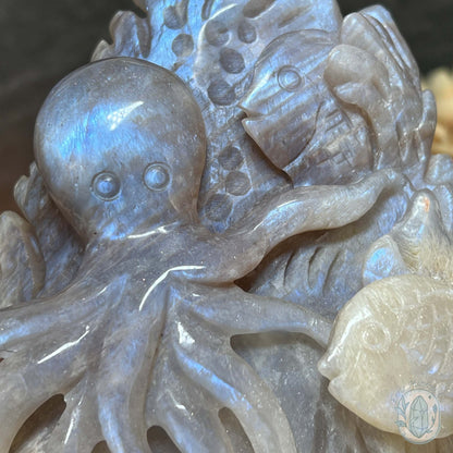 Blue Flash Peach Moonstone Ocean Life Stone Carving