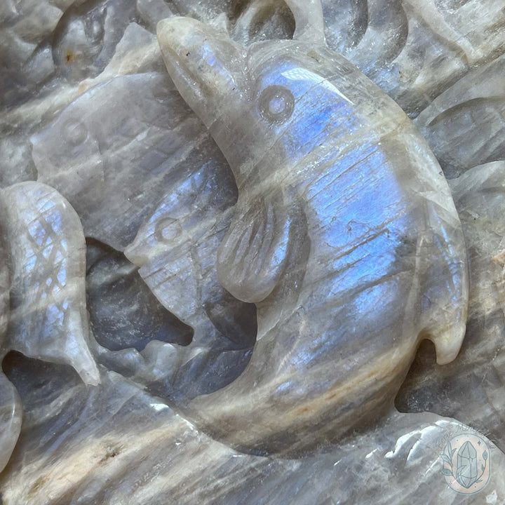 Blue Flash Peach Moonstone Ocean Life Stone Carving