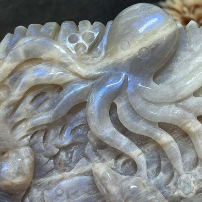 Blue Flash Peach Moonstone Ocean Life Stone Carving