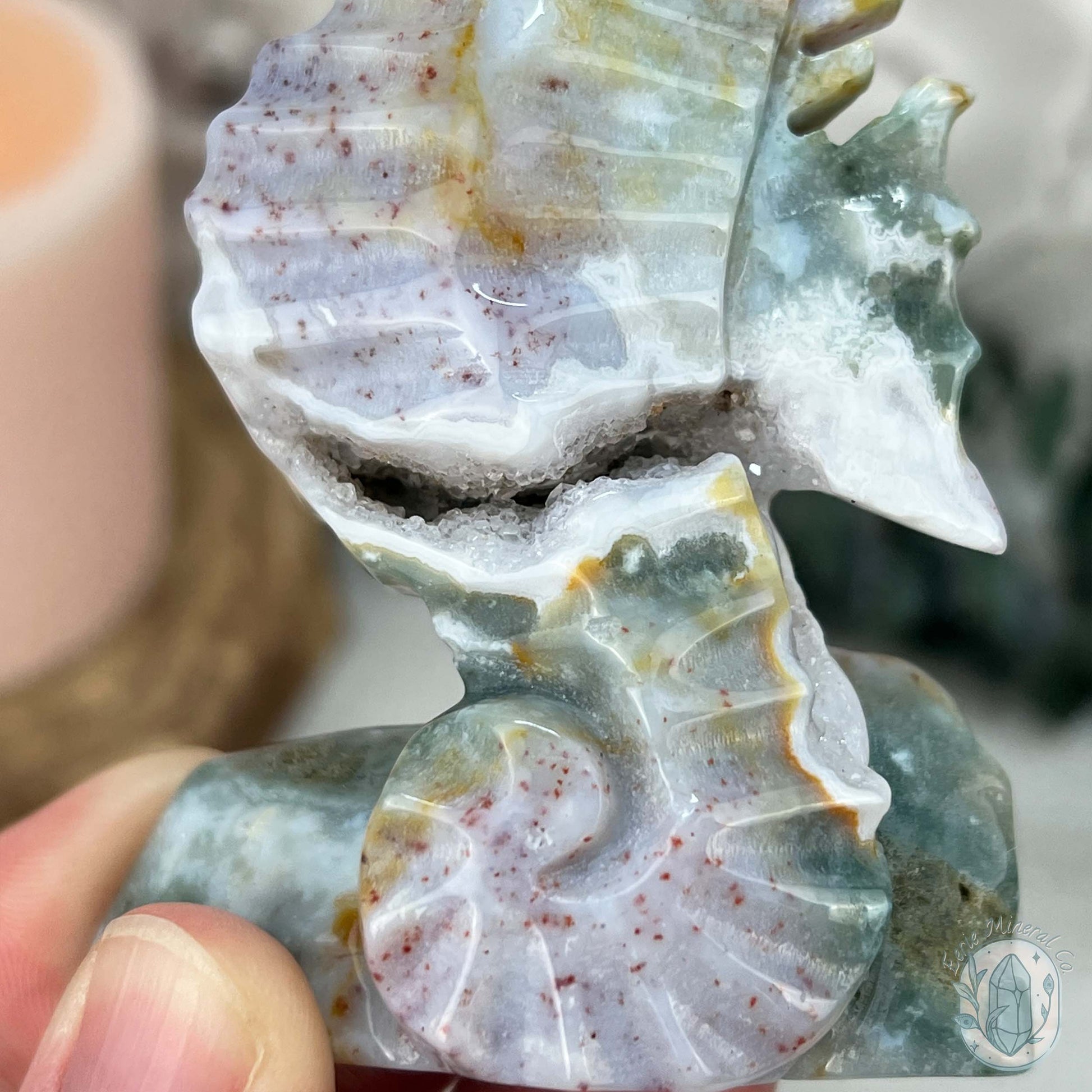 Druzy Ocean Jasper Seahorse Carving