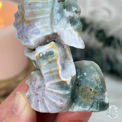 Druzy Ocean Jasper Seahorse Carving