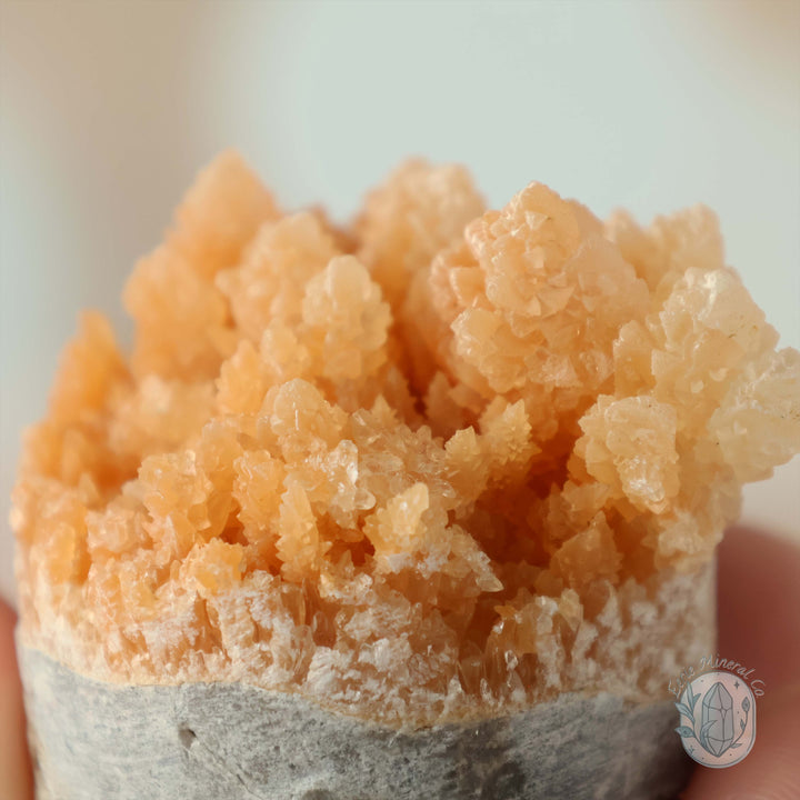 Orange Calcite Stalactite Crystal Cuties