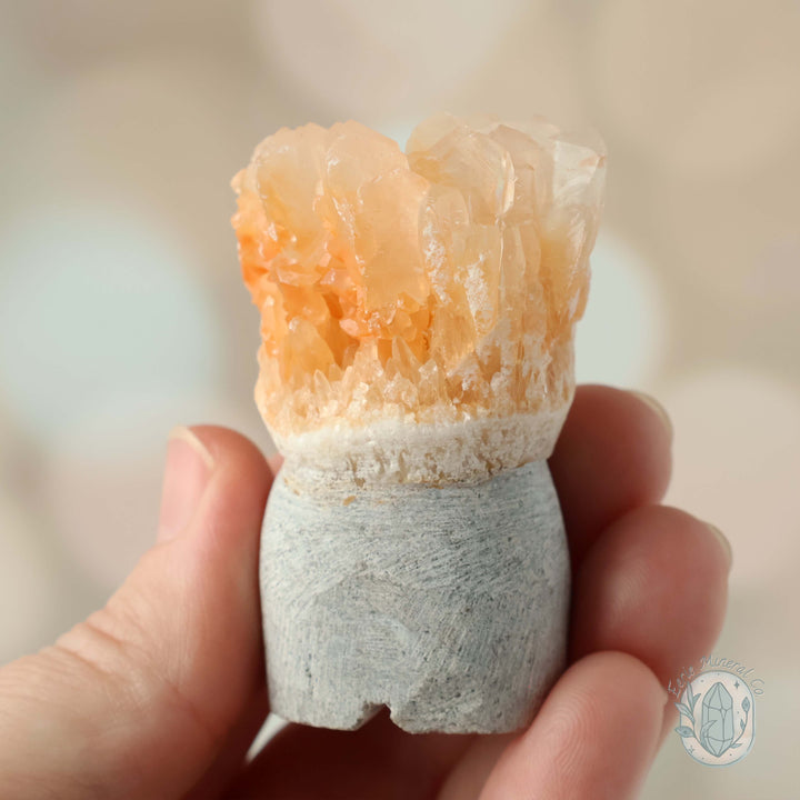 Orange Calcite Stalactite Crystal Cuties