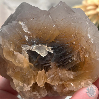 UV Reactive Peach Colored Fluorite Specimen