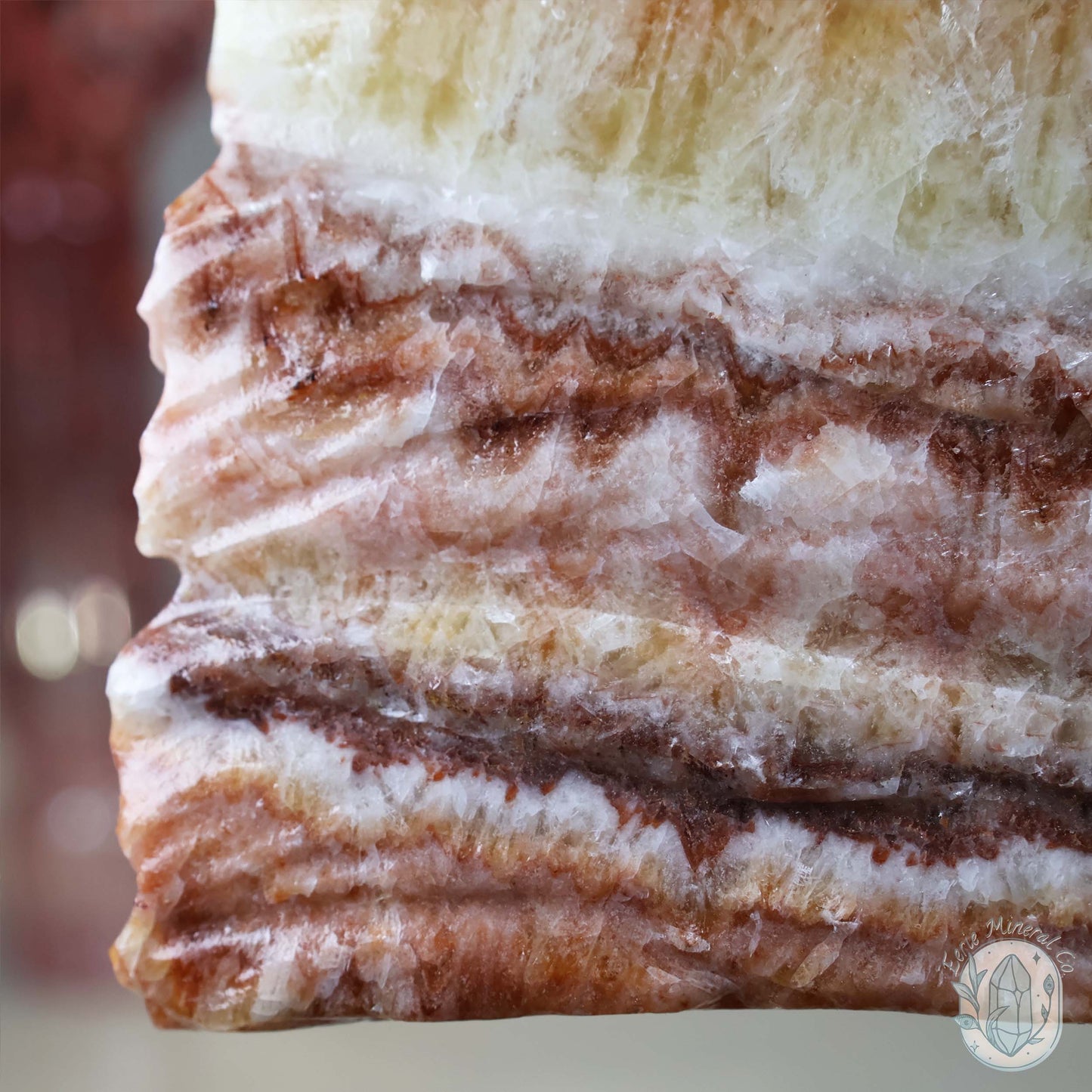 Polished Pork Stone (Red Banded Calcite) Specimen Slab