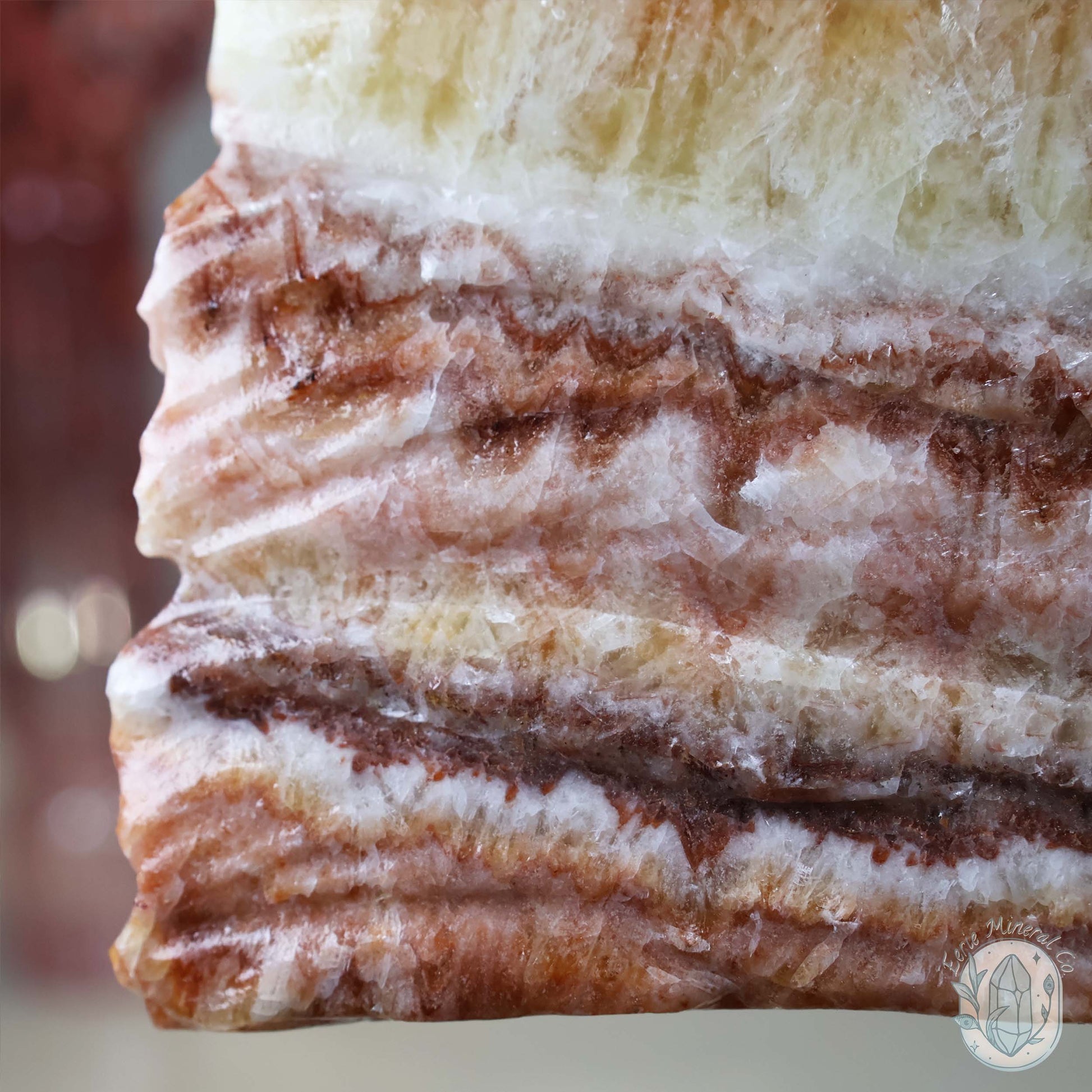 Polished Pork Stone (Red Banded Calcite) Specimen Slab